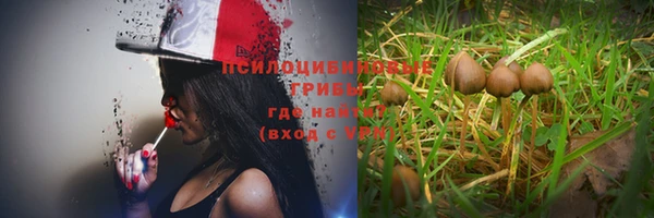 МДМА Арсеньев