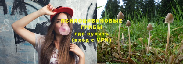 метадон Армянск
